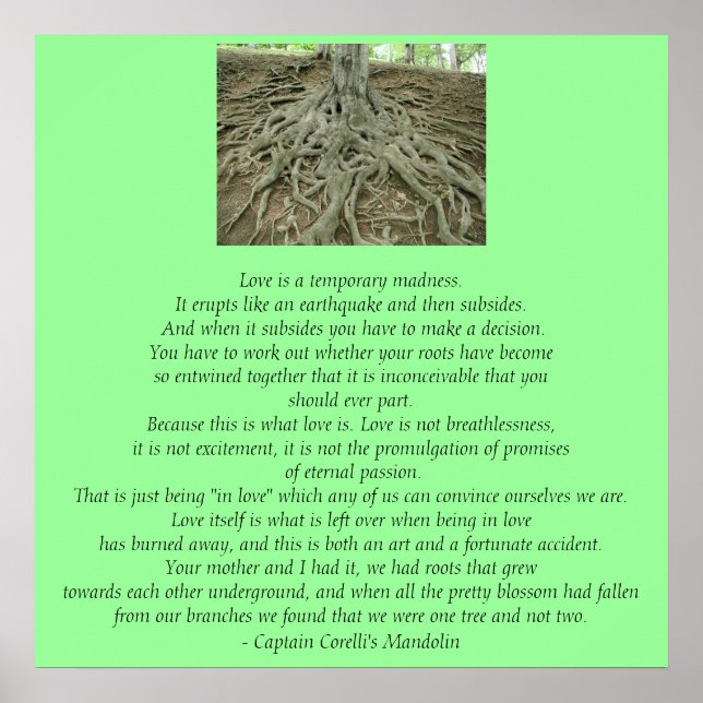 Poster L'Amour Est... (Devant)