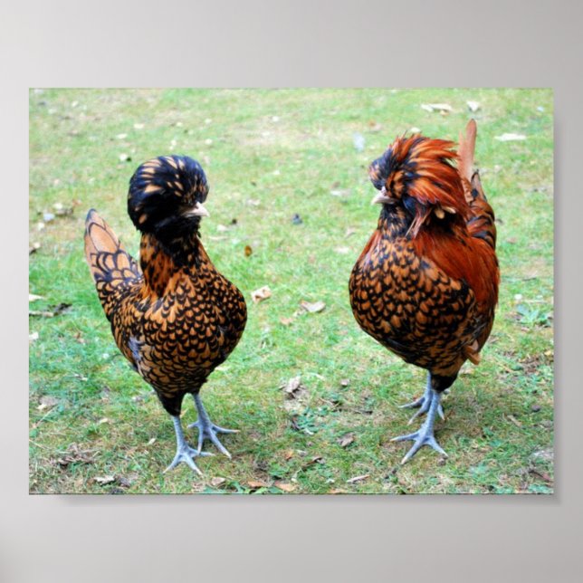 Poster L'amour est dans l'air (Devant)