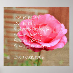 Poster L'amour est le Rose patient
