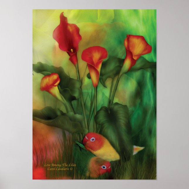 Poster L'Amour Parmi Les Lilies Poster/Imprimer (Devant)