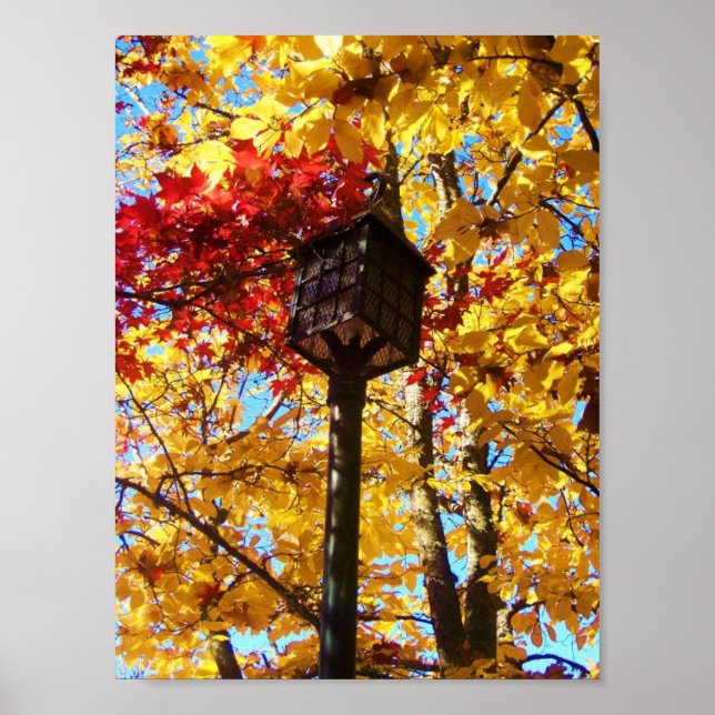 Poster Lampadaire (Devant)