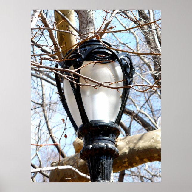 Poster Lampe Post New York Central Park (Devant)