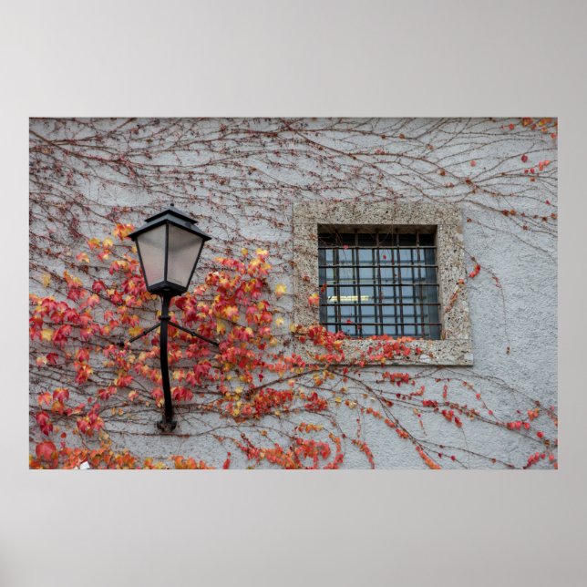 Poster Lampe Sur Un Mur Gris (Devant)