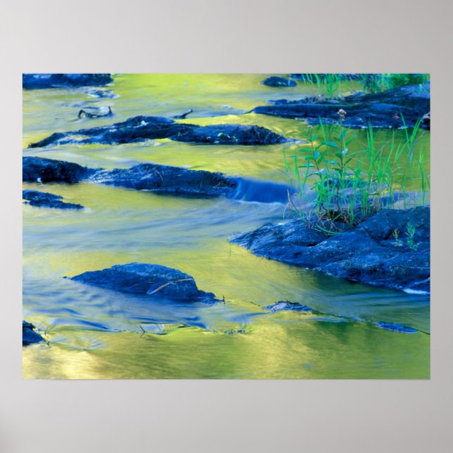 Poster Lamprey | New Hampshire (Devant)