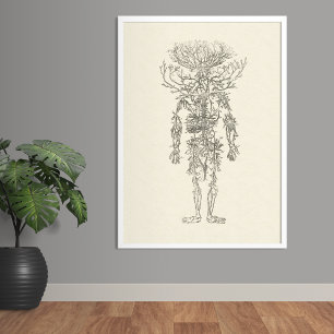 Poster L'Anatomie humaine des artères Vintage
