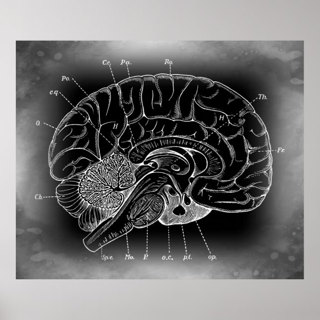 POSTER L'ANCIEN CERVEAU MYSTÉRIEUX (Devant)