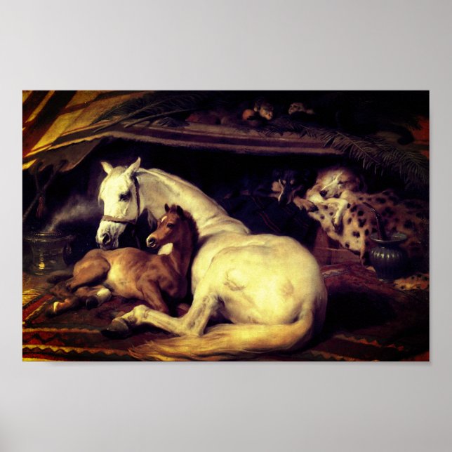 Poster Landseer Les Chevaux De Tente Arabes (Devant)