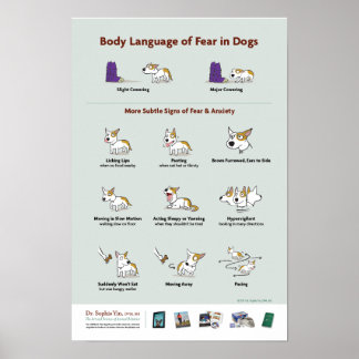 Poster Langage corporel de la peur chez les chiens