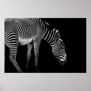 Poster Langage du corps