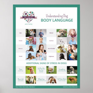 Poster Langage du corps de compréhension 16 x de chien