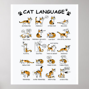 Poster Langue de chat, Drôle Chat Kitten, Aimer Idée cade