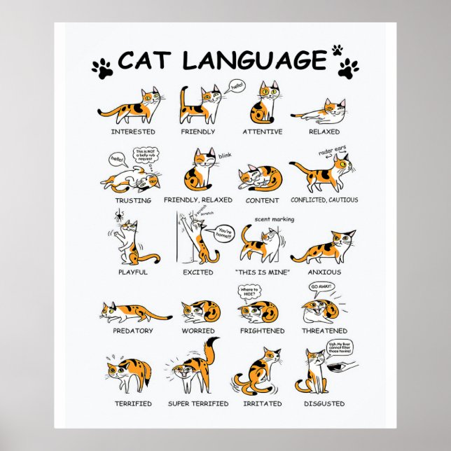 Poster Langue de chat, Drôle Chat Kitten, Aimer Idée cade (Devant)