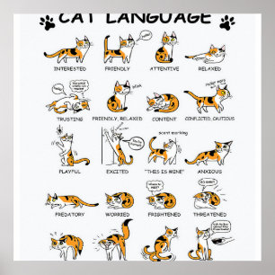 Poster Langue de chat, Drôle Chat Kitten, Aimer Idée cade