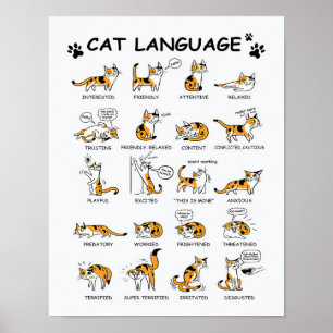 Poster Langue de chat, Drôle Chat Kitten, Aimer Idée cade