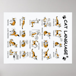 Poster Langue de chat, Drôle Chat Kitten, Aimer Idée cade
