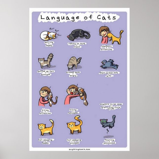 Poster langue des chats (Devant)