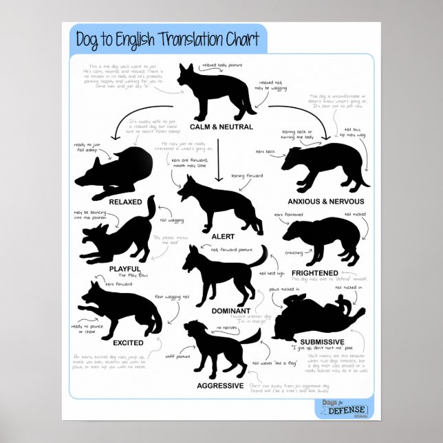 Poster Langue du corps 16x20 (Devant)