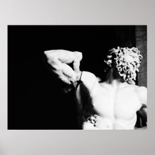 Poster Laocoon