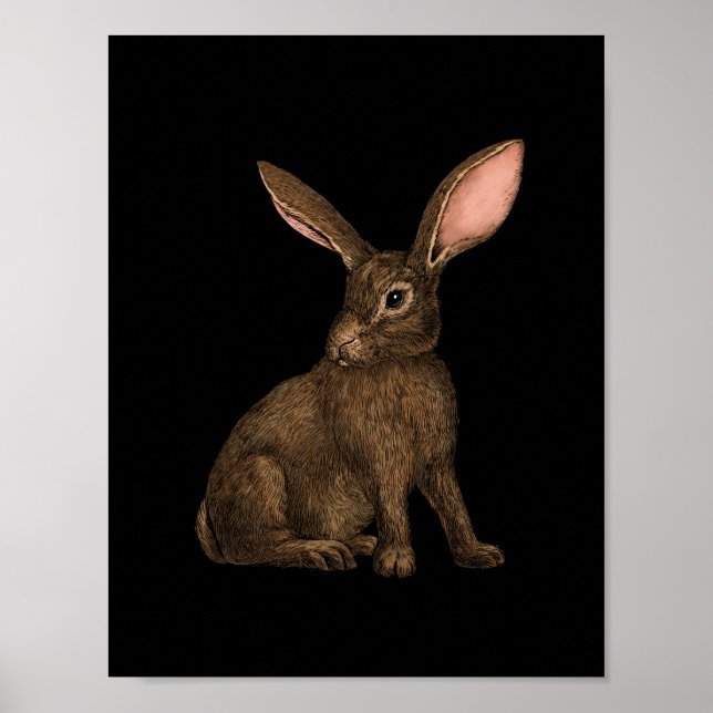 Poster Lapin 4 (Devant)
