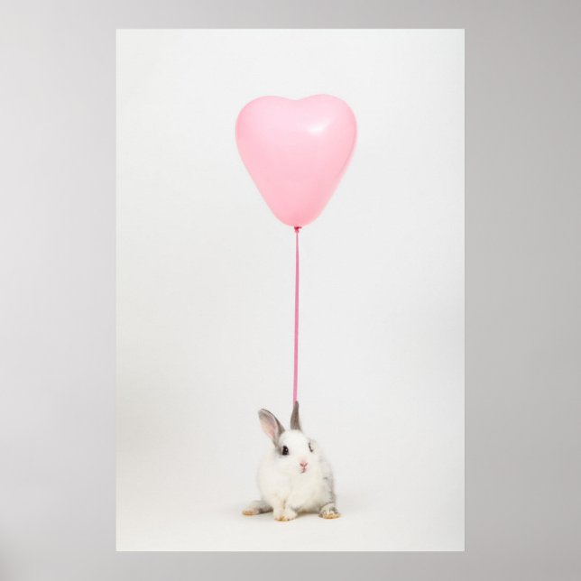 Poster Lapin Avec Ballotte Rose (Devant)