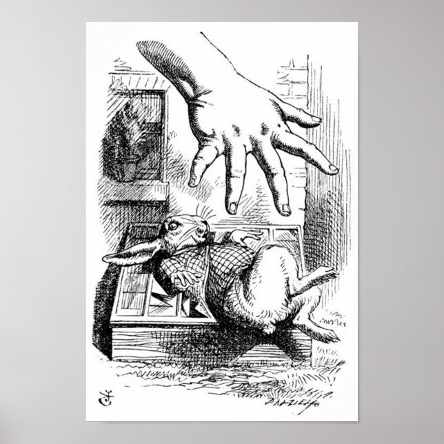 Poster Lapin blanc (Devant)