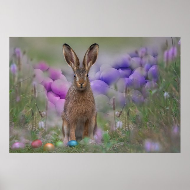 Poster Lapin de Pâques (Devant)