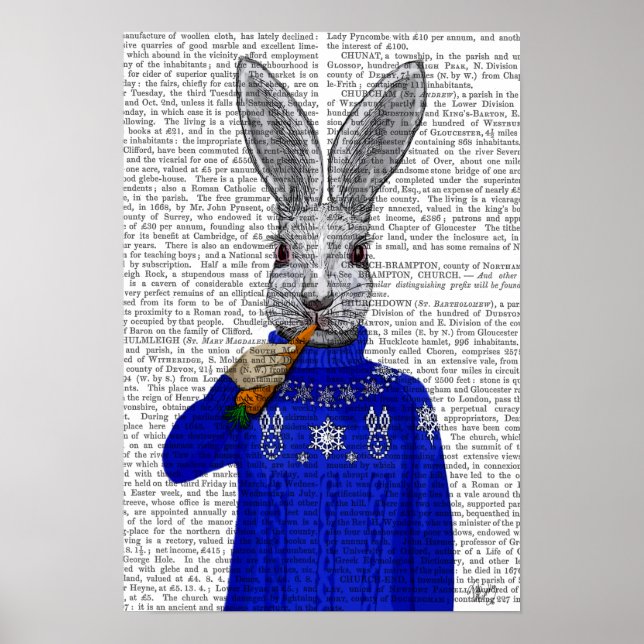 Poster Lapin En Sweat (Devant)