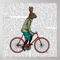 Lapin En Vélo