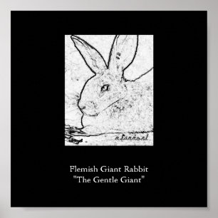 Poster Lapin géant flamand " le géant doux "