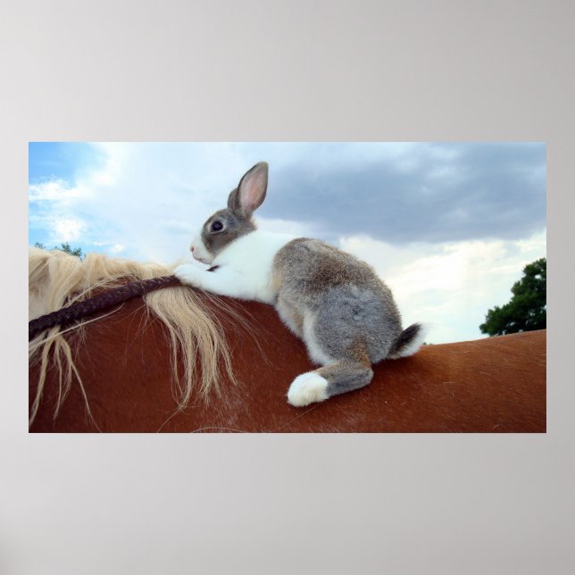 Poster Lapin hollandais à cheval (Devant)
