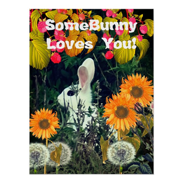 Poster Lapin Lapin Animal Wildlife (Devant)