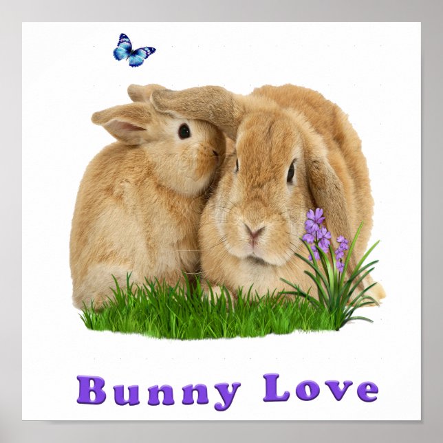 Poster lapin lapin lapin (Devant)
