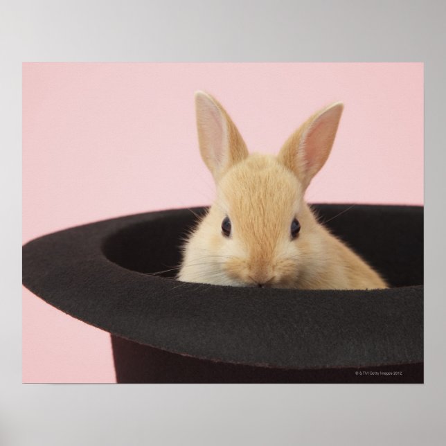 Poster Lapin Magique (Devant)
