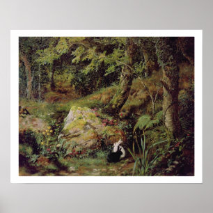 Poster Lapins égarés