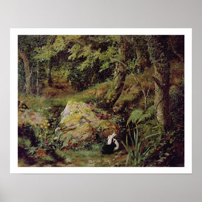 Poster Lapins errants (Devant)