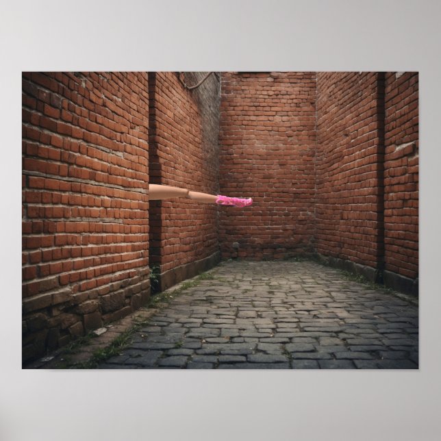 Poster L'apparence d'une seule longue jambe (Devant)