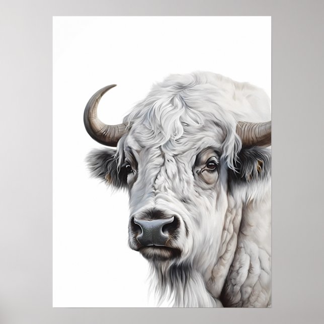 Poster L'aquarelle de Bison Blanc (Devant)