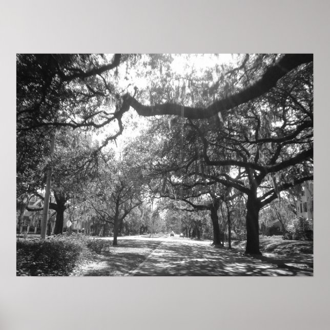 Poster L'Arbour de la nature (Devant)