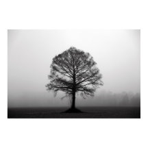 L'arbre