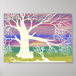 Poster l'arbre blanc