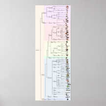 L'arbre du yum : Animalia Print
