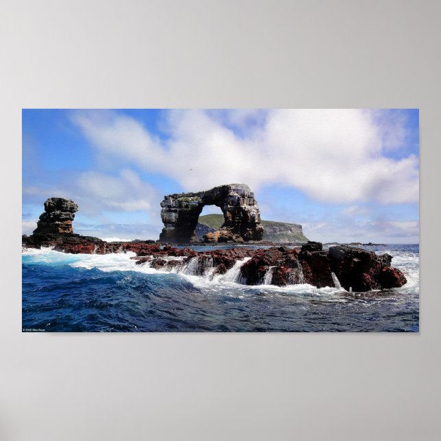 Poster L'arc de Darwin dans les îles Galapagos (Devant)