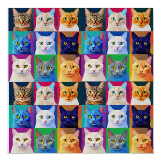 Poster l'arc-en-ciel des chats (Devant)