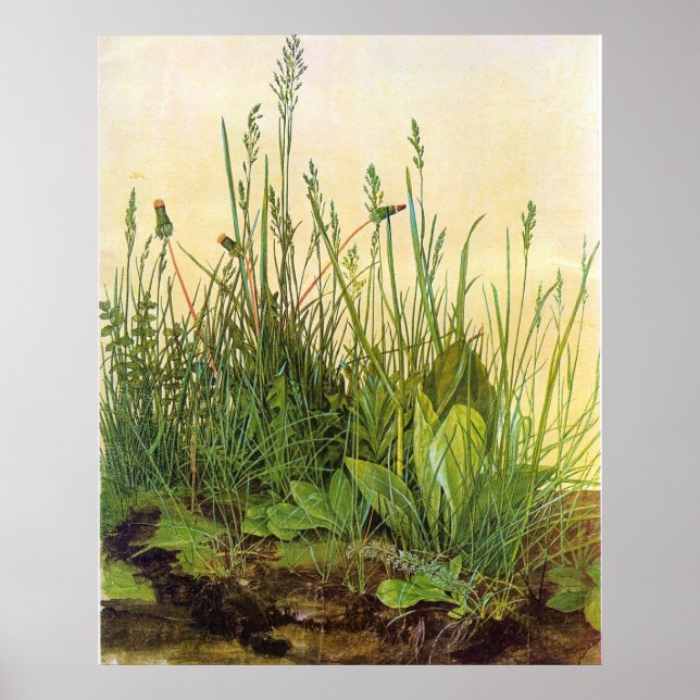 Poster Large Turf - Albrecht Durer - c1503 (Devant)