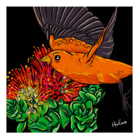 L'art amérindien des oiseaux hawaïens