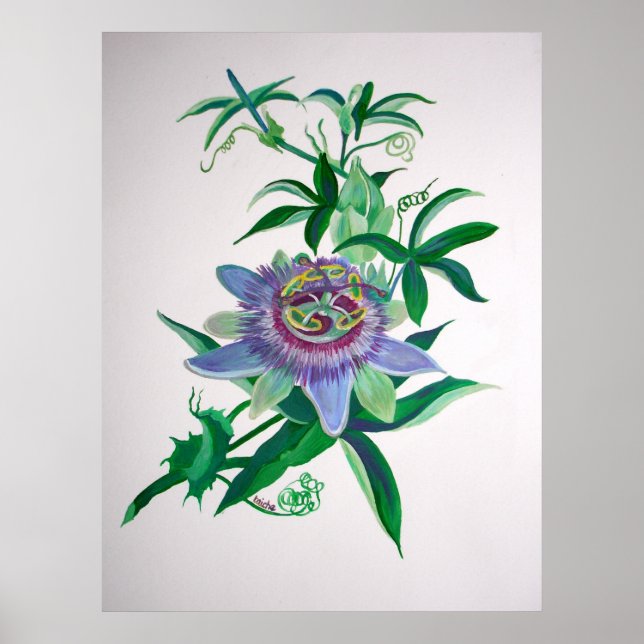 Poster L'art botanique des fleurs de passion (Devant)