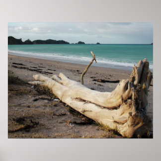 Poster l'art de la photo de la plage