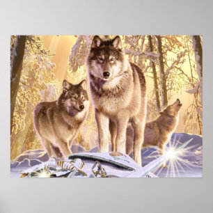 Poster L'art de la toile "Stars sous neige"