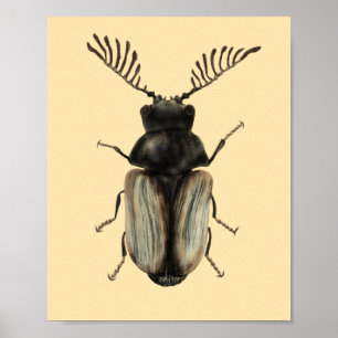 Poster L'art du dendroctone du pervers