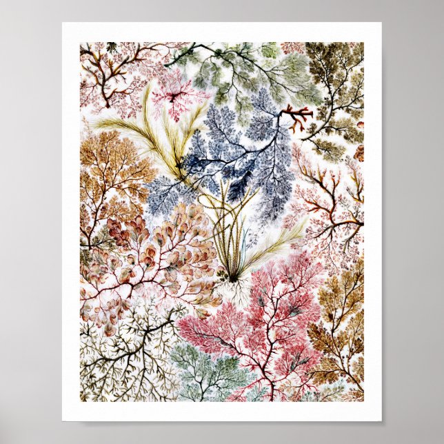 Poster L'art en tissu de soie d'algues (Devant)